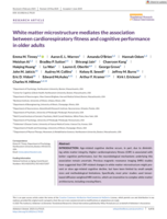 White matter microstructure mediates the association between cardiorespiratory fitness and cognitive performance in older adults