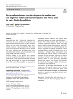 Deep and continuous root development in ameliorated soil improves water and nutrient uptakes and wheat yield in water-limited conditions