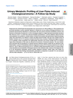 Urinary Metabolic Profiling of Liver Fluke-Induced Cholangiocarcinoma-A Follow-Up Study