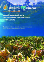 Benthic communities in soft-sediment and on natural hard habitats