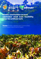 Benthic communities on hard substrates: small scale feasibility trials for artificial reefs