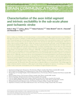 Characterisation of the axon initial segment and intrinsic excitability in the sub-acute phase post-ischaemic stroke