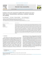 Synthesis of Pec-Adn nanoparticle-modified PAN membranes for heavy metal removal: Characterization, performance evaluation, antifouling, and modeling