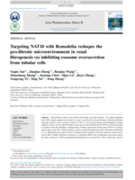 Targeting NAT10 with Remodelin reshapes the pro-fibrotic microenvironment in renal fibrogenesis via inhibiting exosome oversecretion from tubular cells