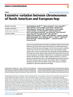 Extensive variation between chromosomes of North American and European hop