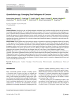 Quambalaria spp.: Emerging Tree Pathogens of Concern