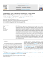 Epidemiological status of bovine viral diarrhea virus in water buffalo (Bubalus bubalis): A global systematic review and meta-analysis