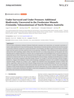 Under Surveyed and Under Pressure: Additional Biodiversity Uncovered in the Freshwater Mussels (Unionida: Velesunioninae) of North‐Western Australia