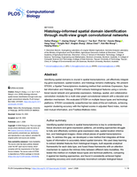 Histology-informed spatial domain identification through multi-view graph convolutional networks