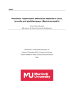 Metabolic responses to exhaustive exercise in larva, juvenile and adult lampreys (Geotria australis)