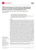 Addressing the Impacts of New Racism on Mental Health Service Use Among Culturally and Racially Marginalised (CaRM) Communities: A Q Methodology Study