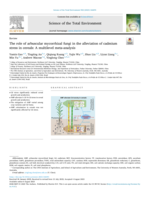 The role of arbuscular mycorrhizal fungi in the alleviation of cadmium stress in cereals: A multilevel meta-analysis