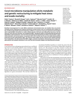 Coral microbiome manipulation elicits metabolic and genetic restructuring to mitigate heat stress and evade mortality