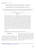 Microbial diversity in Brazilian mangrove sediments: a mini review