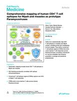 Comprehensive mapping of human CD4+ T cell epitopes for Nipah and measles as prototype Paramyxoviruses