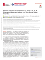 Genome Sequence of Pseudomonas sp. Strain LAP_36, A Rhizosphere Bacterium Isolated from King George Island, Antarctica