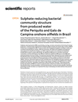 Sulphate-reducing bacterial community structure from produced water of the Periquito and Galo de Campina onshore oilfields in Brazil