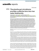 The piranha gut microbiome provides a selective lens into river water biodiversity