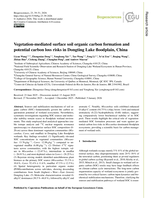 Vegetation-mediated surface soil organic carbon formation and potential carbon loss risks in Dongting Lake floodplain, China