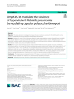 OmpK35/36 modulate the virulence of hypervirulent Klebsiella pneumoniae by regulating capsular polysaccharide export
