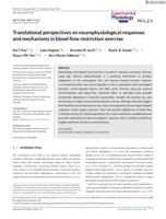 Translational perspectives on neurophysiological responses and mechanisms in blood flow restriction exercise