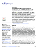 Central Nervous System T-cell immune architecture, and not HIV burden, tracks with cognition under long-term viral suppression