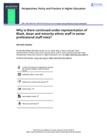 Why is there continued under-representation of Black, Asian and minority ethnic staff in senior professional staff roles?