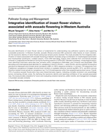 Integrative identification of insect flower visitors associated with avocado flowering in Western Australia