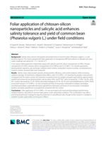 Foliar application of chitosan-silicon nanoparticles and salicylic acid enhances salinity tolerance and yield of common bean (Phaseolus vulgaris L.) under field conditions