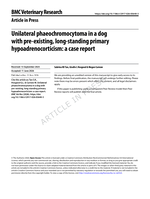 Unilateral phaeochromocytoma in a dog with pre-existing, long-standing primary hypoadrenocorticism: a case report