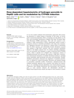 Dose-dependent hepatotoxicity of hydrogen peroxide in HepG2 cells and its modulation by CYP450 induction