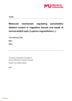 Molecular mechanism regulating quinolizidine alkaloid content in vegetative tissues and seeds of narrow-leafed lupin (Lupinus angustifolius L.)