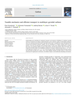 Tunable mechanics and efficient transport in multilayer gyroidal carbons