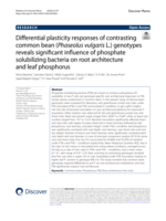Differential plasticity responses of contrasting common bean (Phaseolus vulgaris L.) genotypes reveals significant influence of phosphate solubilizing bacteria on root architecture and leaf phosphorus