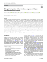 Oblong turtles hybridise with an introduced congener and display a size-heterozygosity relationship