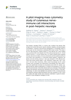 A pilot imaging mass cytometry study of cutaneous nerve-immune cell interactions in post-herpetic neuralgia