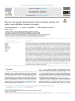Between sand and salt: phylogeography of the Australian salt lake wolf spider Lycosa salifodina (Araneae: Lycosidae)