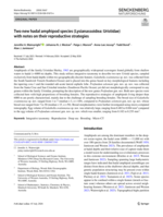Two new hadal amphipod species (Lysianassoidea: Uristidae) with notes on their reproductive strategies