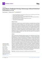 Anaesthetic Challenges During Colonoscopy-Induced Intestinal Perforation in a Cat