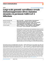 Large-scale genomic surveillance reveals immunosuppression drives mutation dynamics in persistent SARS-CoV-2 infections