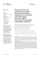 Mucosal immune cell priming by intranasally delivered Haemophilus haemolyticus is associated with heterologous protection against influenza and nontypeable Haemophilus influenzae