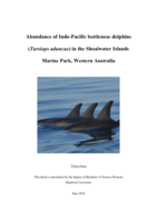 Abundance of Indo-Pacific bottlenose dolphins (Tursiops aduncus) in the Shoalwater Islands Marine Park, Western Australia