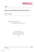 Study on Avocado Pollinators in Western Australia