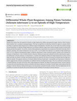 Differential Whole-Plant Responses Among Potato Varieties (Solanum tuberosum L) to an Episode of High Temperature