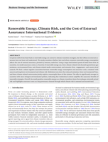 Renewable Energy, Climate Risk, and the Cost of External Assurance: International Evidence