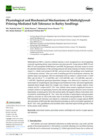 Physiological and Biochemical Mechanisms of Methylglyoxal-Priming-Mediated Salt Tolerance in Barley Seedlings