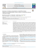 Intra-house circulation and persistence of methicillin-resistant Staphylococcus pseudintermedius in Brazil: Evidence of transmission between a dog and its family