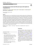 An ethogram for the whale shark (Rhincodon typus) with insights into foraging plasticity