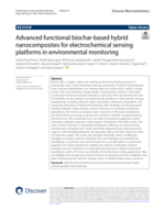 Advanced functional biochar-based hybrid nanocomposites for electrochemical sensing platforms in environmental monitoring
