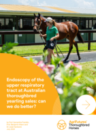 Endoscopy of the upper respiratory tract at Australian thoroughbred yearling sales: can we do better?